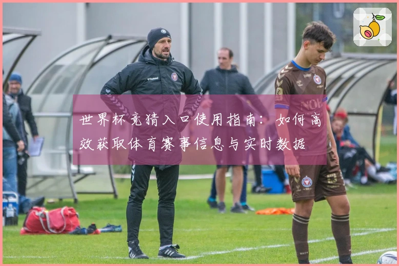 世界杯竞猜入口使用指南：如何高效获取体育赛事信息与实时数据