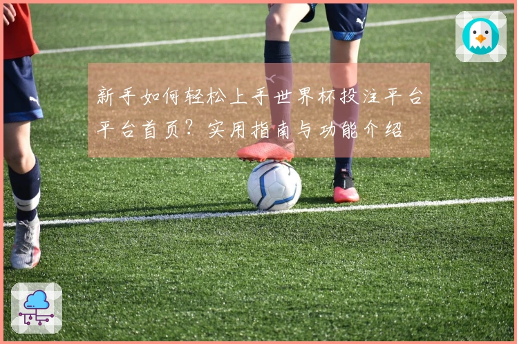 新手如何轻松上手世界杯投注平台平台首页？实用指南与功能介绍