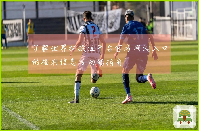 了解世界杯投注平台官方网站入口的福利信息与功能指南