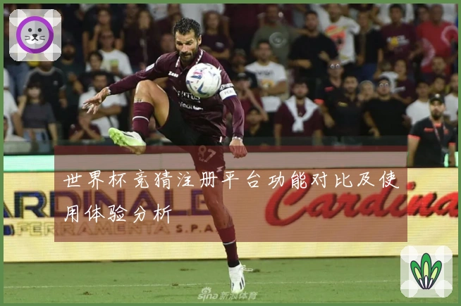 世界杯竞猜注册平台功能对比及使用体验分析