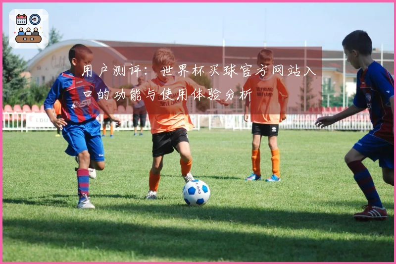 用户测评：世界杯买球官方网站入口的功能与使用体验分析