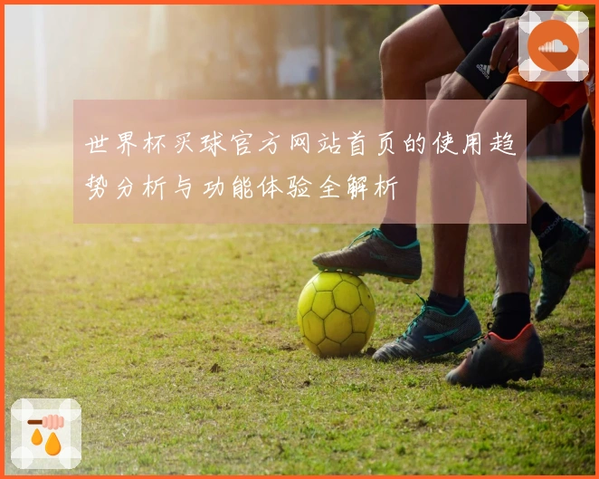世界杯买球官方网站首页的使用趋势分析与功能体验全解析