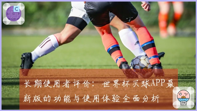 长期使用者评价：世界杯买球APP最新版的功能与使用体验全面分析