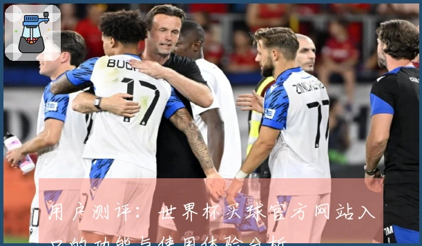 用户测评：世界杯买球官方网站入口的功能与使用体验分析