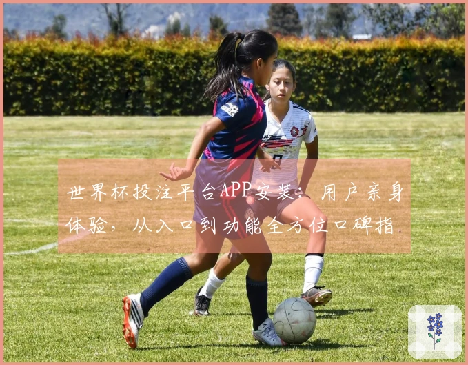 世界杯投注平台APP安装：用户亲身体验，从入口到功能全方位口碑指南