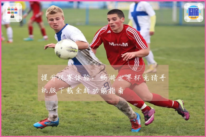提升观赛体验，畅游世界杯竞猜手机版下载全新功能指南