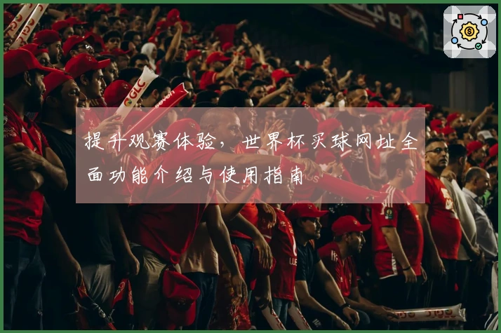 提升观赛体验，世界杯买球网址全面功能介绍与使用指南