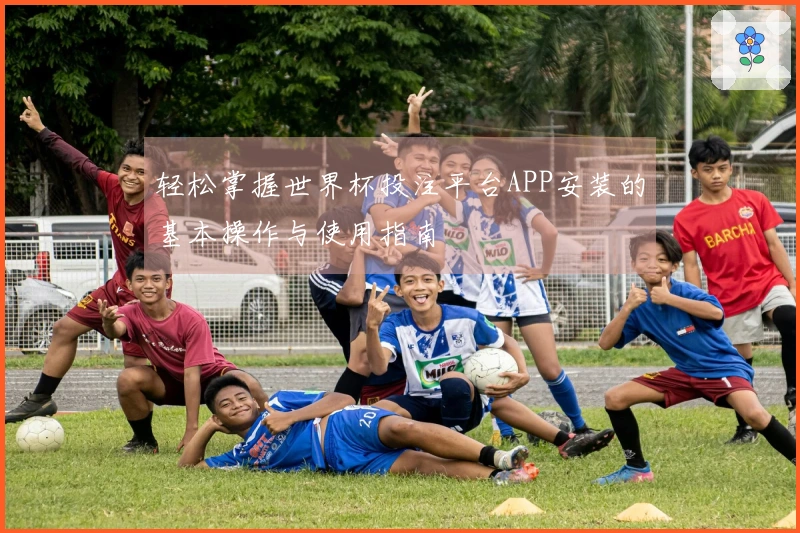 轻松掌握世界杯投注平台APP安装的基本操作与使用指南