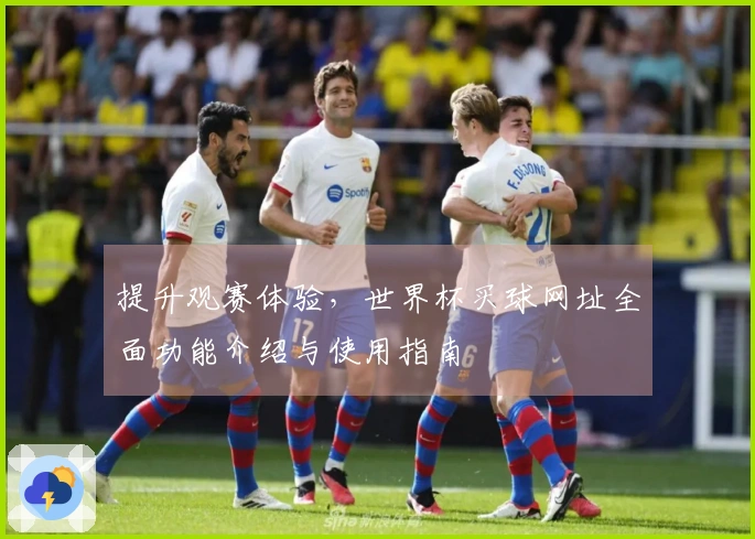 提升观赛体验，世界杯买球网址全面功能介绍与使用指南
